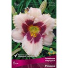 Лилейник гибридный Розанна, I р-р, 1 шт. 40 h(см), Осень 2022  (артикул 9245766)  большой выбор товаров оптом и в розницу по низким ценам с доставкой