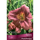 Лилейник гибридный Роузи Ритернз, I р-р, 1 шт. 40 h(см), Осень 2024  (артикул 9245767)  большой выбор товаров оптом и в розницу по низким ценам с доставкой