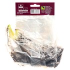 Лилейник гибридный Селебрейшн ов Эйнджелз, I р-р, 1 шт. 65 h(см), Осень 2024  (артикул 9245768)  большой выбор товаров оптом и в розницу по низким ценам с доставкой