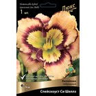 Лилейник гибридный «Спейскоаст Си Шеллз», I р-р, 1 шт. 70 h(см), Осень 2024  (артикул 9245776)  большой выбор товаров оптом и в розницу по низким ценам с доставкой