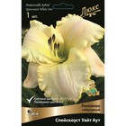 Лилейник гибридный «Спейскоуст Уайт Аут», I р-р, 1 шт. 60 h(см), Осень 2024  (артикул 9245777)  большой выбор товаров оптом и в розницу по низким ценам с доставкой