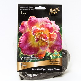 Лилейник гибридный Сьюзан Притчард Пети, I р-р, 1 шт. 50 h(см), Осень 2022  (артикул 9245780)  большой выбор товаров оптом и в розницу по низким ценам с доставкой