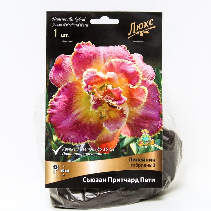 Лилейник гибридный Сьюзан Притчард Пети, I р-р, 1 шт. 50 h(см), Осень 2022