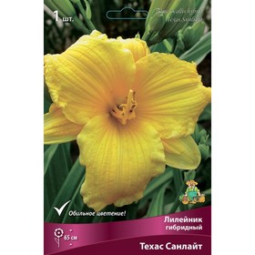 Лилейник гибридный «Техас Санлайт», I р-р, 1 шт. 65 h(см), Осень 2025  (артикул 9245781)  большой выбор товаров оптом и в розницу по низким ценам с доставкой