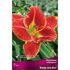 Лилейник гибридный «Файр энд Фог», I р-р, 1 шт. 65 h(см), Осень 2024  (артикул 9245784)  большой выбор товаров оптом и в розницу по низким ценам с доставкой