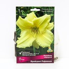 Лилейник гибридный Фрейгрант Рефлекшн, I р-р, 1 шт. 50 h(см), Осень 2024  (артикул 9245785)  большой выбор товаров оптом и в розницу по низким ценам с доставкой