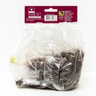 Лилейник гибридный Фрейгрант Рефлекшн, I р-р, 1 шт. 50 h(см), Осень 2024 - Фото 2