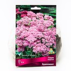 Седум видный Бриллиант, I р-р, 1 шт. 40 h(см), Осень 2022  (артикул 9245802)  большой выбор товаров оптом и в розницу по низким ценам с доставкой