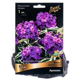 Флокс метельчатый Арлекин, I р-р, 1 шт. 75 h(см), Осень 2022  (артикул 9245803)  большой выбор товаров оптом и в розницу по низким ценам с доставкой