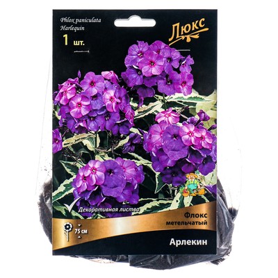 Флокс метельчатый Арлекин, I р-р, 1 шт. 75 h(см), Весна 2026