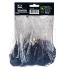 Флокс метельчатый Арлекин, I р-р, 1 шт. 75 h(см), Осень 2022  (артикул 9245803)  большой выбор товаров оптом и в розницу по низким ценам с доставкой