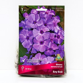 Флокс метельчатый Блу Бой, I р-р, 1 шт. 80-100 h(см), Осень 2025  (артикул 9245804)  большой выбор товаров оптом и в розницу по низким ценам с доставкой