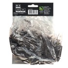 Флокс метельчатый Болд энд Бьютифул, I р-р, 1 шт. 45 h(см), Осень 2022  (артикул 9245805)  большой выбор товаров оптом и в розницу по низким ценам с доставкой