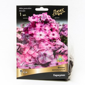 Флокс метельчатый Геркулес, I р-р, 1 шт. 65 h(см), Осень 2024  (артикул 9245806)  большой выбор товаров оптом и в розницу по низким ценам с доставкой