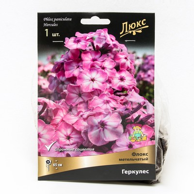 Флокс метельчатый Геркулес, I р-р, 1 шт. 65 h(см), Осень 2024