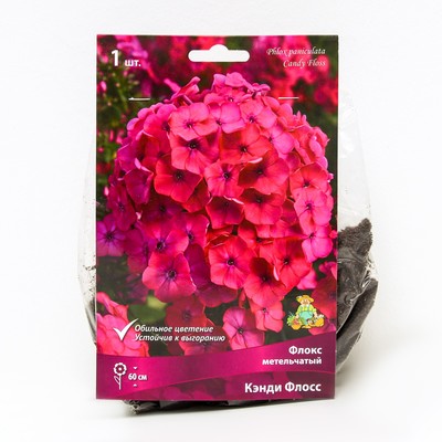 Флокс метельчатый Кэнди Флосс, I р-р, 1 шт. 60 h(см), Осень 2024