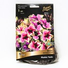 Флокс метельчатый Майкс Чойс, I р-р, 1 шт. 55 h(см), Осень 2022 - Фото 1