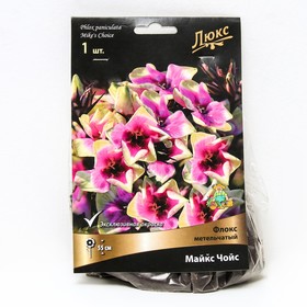 Флокс метельчатый Майкс Чойс, I р-р, 1 шт. 55 h(см), Осень 2022  (артикул 9245808)  большой выбор товаров оптом и в розницу по низким ценам с доставкой