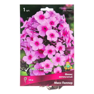 Флокс метельчатый Мисс Пепер, I р-р, 1 шт. 80 h(см), Осень 2022