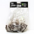 Флокс метельчатый Мистик Грин, I р-р, 1 шт. 55 h(см), Осень 2025 - Фото 2