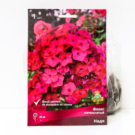 Флокс метельчатый Надя, I р-р, 1 шт. 80 h(см), Осень 2025  (артикул 9245811)  большой выбор товаров оптом и в розницу по низким ценам с доставкой