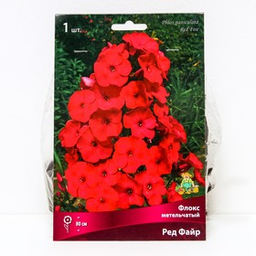 Флокс метельчатый Ред Файр, I р-р, 1 шт. 80 h(см), Осень 2025  (артикул 9245815)  большой выбор товаров оптом и в розницу по низким ценам с доставкой