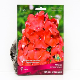 Флокс метельчатый Юник Ориндж, I р-р, 1 шт. 50 h(см), Осень 2025  (артикул 9245818)  большой выбор товаров оптом и в розницу по низким ценам с доставкой