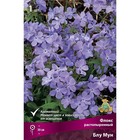 Флокс растопыренный Блу Мун, I р-р, 1 шт. 30 h(см), Осень 2022  (артикул 9245819)  большой выбор товаров оптом и в розницу по низким ценам с доставкой