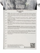 Флокс метельчатый Селена, I р-р, 1 шт. Весна 2026 - Фото 3