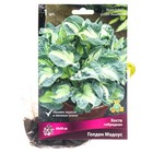 Хоста гибридная Голден Мэдоус, I р-р, 1 шт. 60*90 h(см), Осень 2022  (артикул 9245854)  большой выбор товаров оптом и в розницу по низким ценам с доставкой