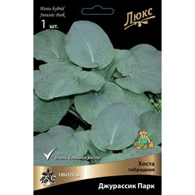 Хоста гибридная Джурассик Парк, I р-р, 1 шт. 100*120 h(см), Осень 2022  (артикул 9245858)  большой выбор товаров оптом и в розницу по низким ценам с доставкой