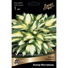 Хоста гибридная Колор Фестиваль, I р-р, 1 шт. 35*60 h(см), Осень 2022  (артикул 9245868)  большой выбор товаров оптом и в розницу по низким ценам с доставкой