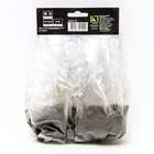 Хоста гибридная Лейксайд Пейсли Принт, I р-р, 1 шт. 15*20 h(см), Осень 2022 - Фото 2