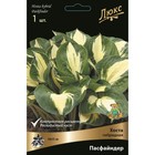 Хоста гибридная Пасфайндер, I р-р, 1 шт. 30*55 h(см), Осень 2022  (артикул 9245887)  большой выбор товаров оптом и в розницу по низким ценам с доставкой