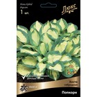 Хоста гибридная Попкорн, I р-р, 1 шт. 30*60 h(см), Осень 2025  (артикул 9245890)  большой выбор товаров оптом и в розницу по низким ценам с доставкой