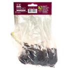 Хоста гибридная Роберт Фрост, I р-р, 1 шт. 60*90 h(см), Осень 2025  (артикул 9245893)  большой выбор товаров оптом и в розницу по низким ценам с доставкой