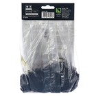 Хоста гибридная Файр энд Айс, I р-р, 1 шт. 35*60 h(см), Осень 2022  (артикул 9245904)  большой выбор товаров оптом и в розницу по низким ценам с доставкой