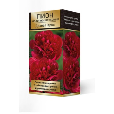 Пионы молочноцветковые Диана Паркс, 2-3 р-р, 1 шт. 95 h(см), Осень 2024