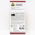 Пионы молочноцветковые Луи ван Хаутте, 2-3 р-р, 1 шт. 90 h(см), Осень 2024 - Фото 2