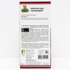 Пионы молочноцветковые Мисс Экхарт, 2-3 р-р, 1 шт. 90-100 h(см), Осень 2025 - Фото 2