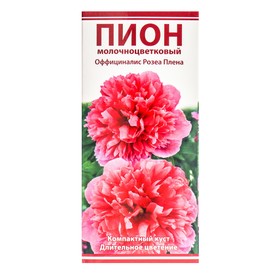 Пионы молочноцветковые Оффициналис Розеа Плена, 2-3 р-р, 1 шт. 60 h(см), Осень 2022