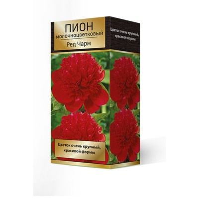Пионы молочноцветковые Ред Чарм, 2-3 р-р, 1 шт. 75-80 h(см), Осень 2022