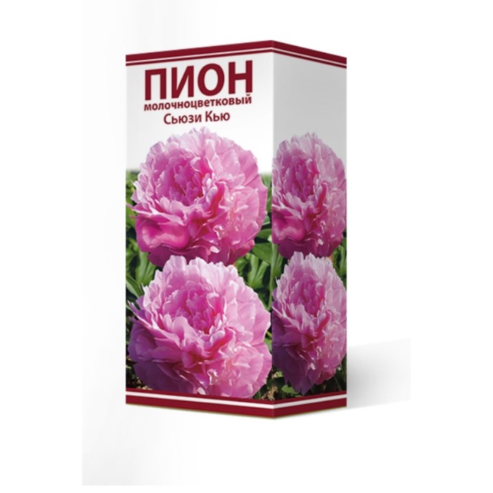 Free Images : nature, blossom, flower, purple, petal, bloom, summer, floral, nat