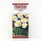 Пионы травянистые для "ПАТИО" Мадрид, 2-3 р-р, 1 шт. 35 h(см), Осень 2022  (артикул 9245978)  большой выбор товаров оптом и в розницу по низким ценам с доставкой