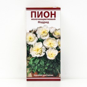 Пионы травянистые для 