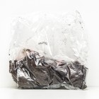 Пионы травянистые для "ПАТИО" Мадрид, 2-3 р-р, 1 шт. 35 h(см), Осень 2022  (артикул 9245978)  большой выбор товаров оптом и в розницу по низким ценам с доставкой