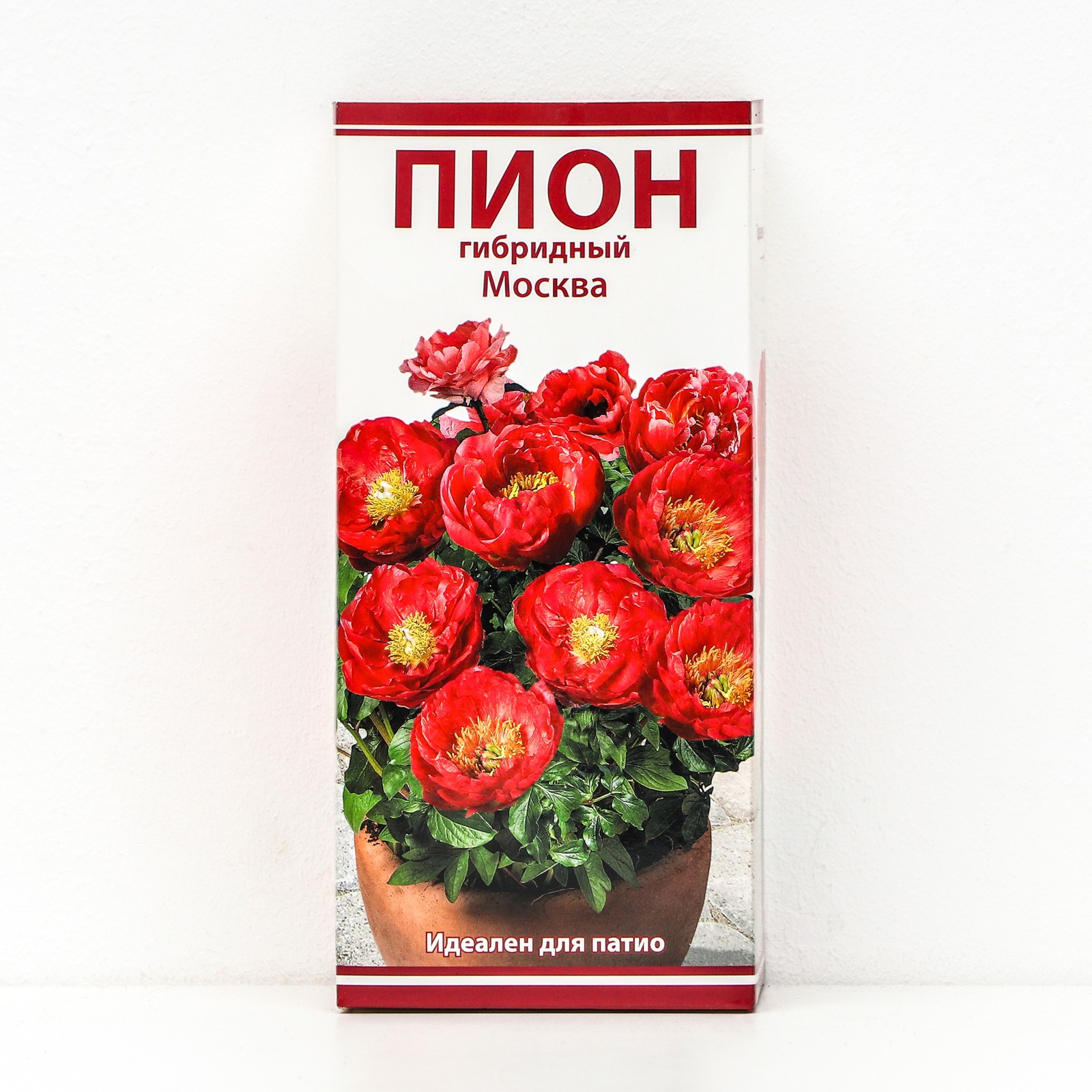 Саженцы пиона роуз харт купить в Москве по цене от 3500 рублей