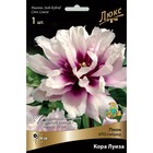 Пионы ИТО-гибриды Кора Луиза, 2-3 р-р, 1 шт. 90 h(см), Осень 2022  (артикул 9245983)  большой выбор товаров оптом и в розницу по низким ценам с доставкой
