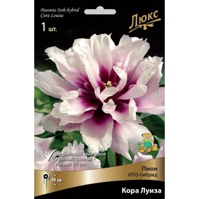 Пионы ИТО-гибриды Кора Луиза, 2-3 р-р, 1 шт. 90 h(см), Осень 2022  (артикул 9245983)  большой выбор товаров оптом и в розницу по низким ценам с доставкой