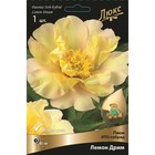 Пионы ИТО-гибриды Лемон Дрим, 2-3 р-р, 1 шт., Весна 2026  (артикул 9245984)  большой выбор товаров оптом и в розницу по низким ценам с доставкой